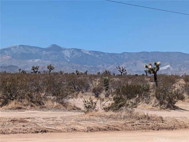 0 Del Rosa Rd, Phelan, CA 92371 - photo 10