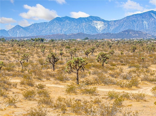 0 Del Rosa Rd, Phelan, CA 92371 - photo 1
