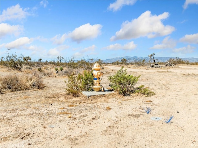 0 Del Rosa Rd, Phelan, CA 92371 - photo 4