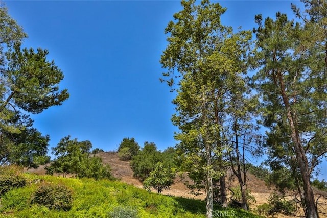 1921 Avenida Monte Vis, San Dimas, CA 91773 - photo 61