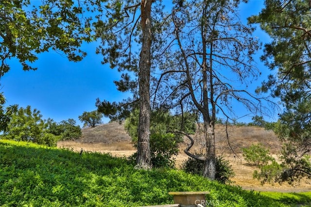 1921 Avenida Monte Vis, San Dimas, CA 91773 - photo 60