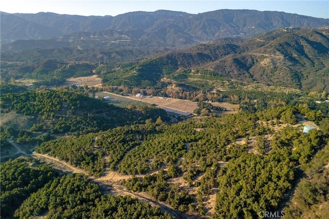 40685 De Luz Murrieta Rd, Fallbrook, CA 92028 - photo 10