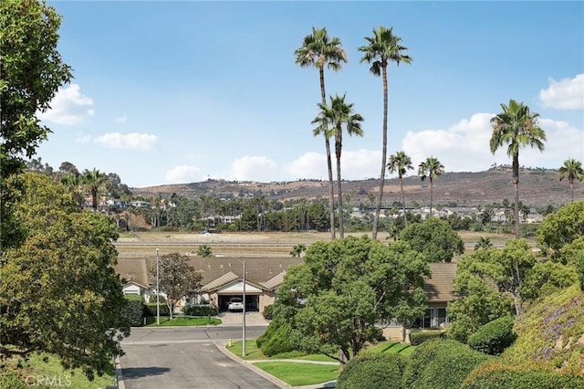 69 Via Larga Vis, Bonsall, CA 92003 - photo 37