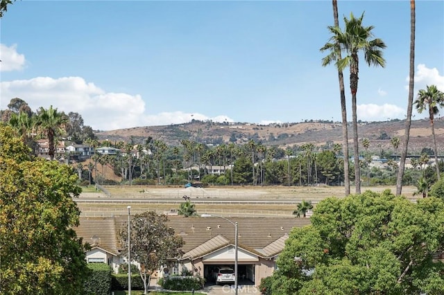 69 Via Larga Vis, Bonsall, CA 92003 - photo 38