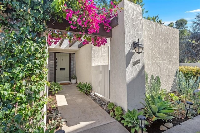 30788 Calle Chueca, San Juan Capistrano, CA 92675 - photo 1