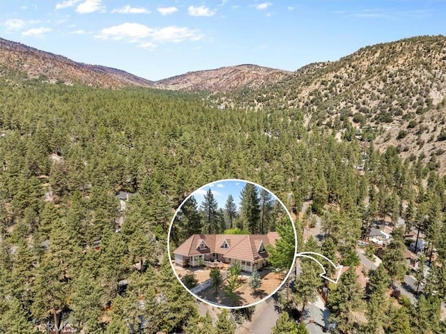 1859 Virginia St, Wrightwood, CA 92397 - photo 6