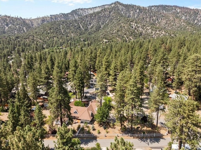 1859 Virginia St, Wrightwood, CA 92397 - photo 4