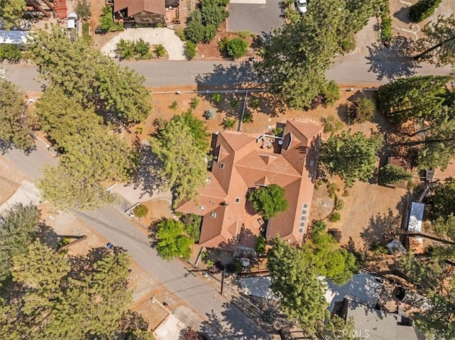 1859 Virginia St, Wrightwood, CA 92397 - photo 57