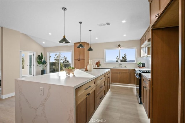 520 Golden Sky Ln, Anaheim, CA 92807 - photo 10
