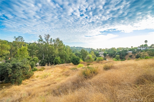 1187 Edinburgh Rd, San Dimas, CA 91773 - photo 44