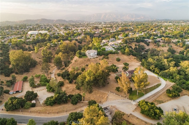 1187 Edinburgh Rd, San Dimas, CA 91773 - photo 53