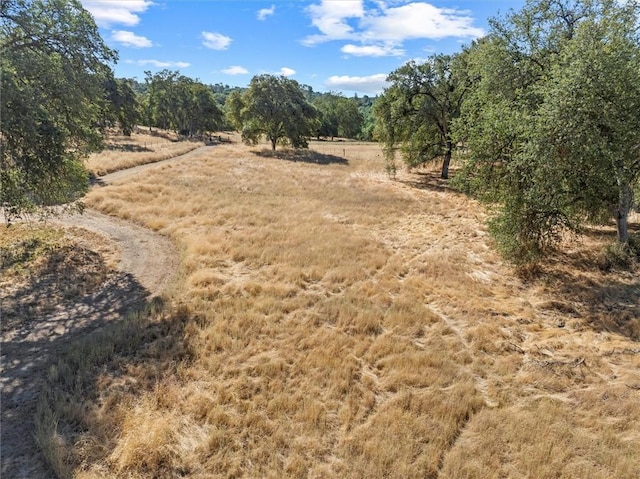 4052 Indian Peak Rd, Mariposa, CA 95338 - photo 40