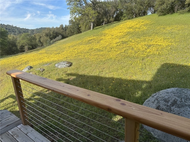 4052 Indian Peak Rd, Mariposa, CA 95338 - photo 11