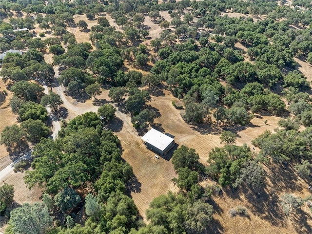4052 Indian Peak Rd, Mariposa, CA 95338 - photo 28