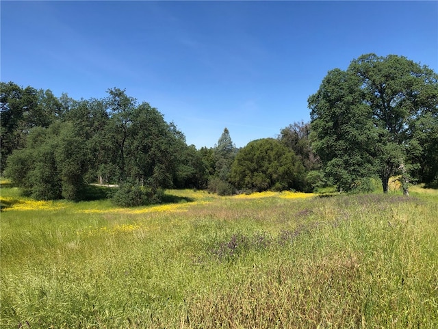 4052 Indian Peak Rd, Mariposa, CA 95338 - photo 39
