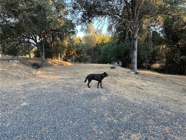 4052 Indian Peak Rd, Mariposa, CA 95338 - photo 42