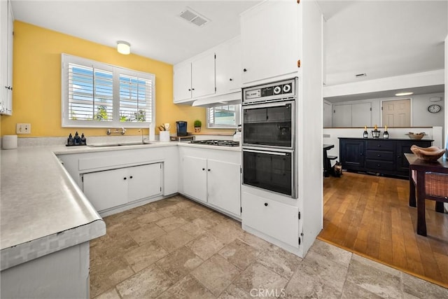 231 Salida Del Sol, Santa Barbara, CA 93109 - photo 13