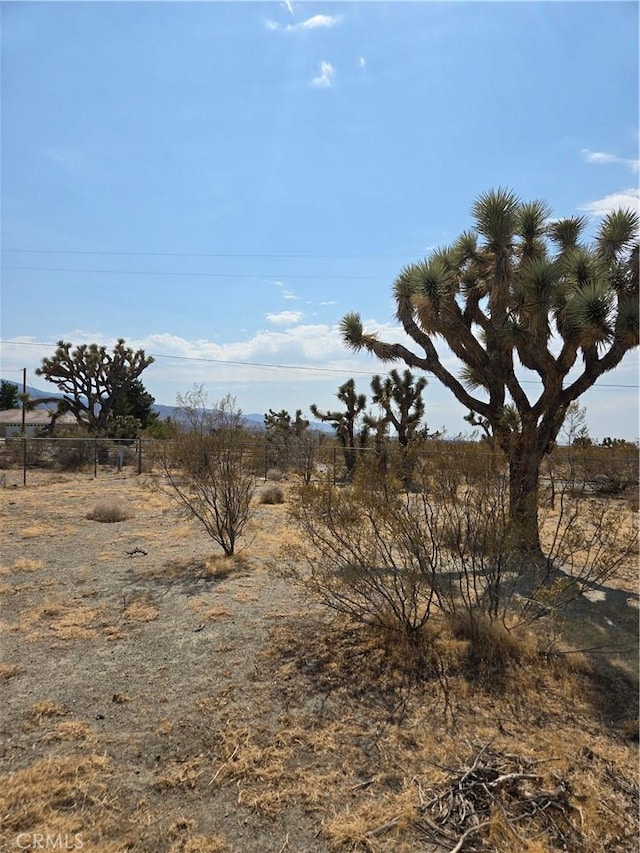12285 Golden View Rd, Pinon Hills, CA 92372 - photo 36