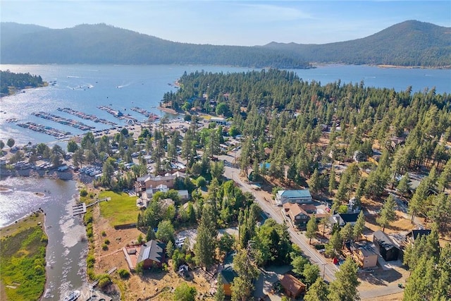 425 Castella Ln, Big Bear Lake, CA 92315 - photo 3