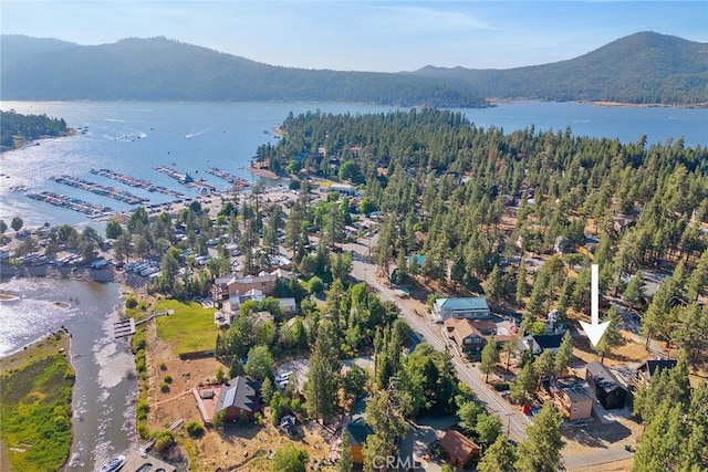 425 Castella Ln, Big Bear Lake, CA 92315 - photo 2