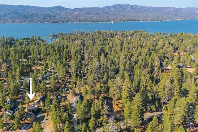425 Castella Ln, Big Bear Lake, CA 92315 - photo 5