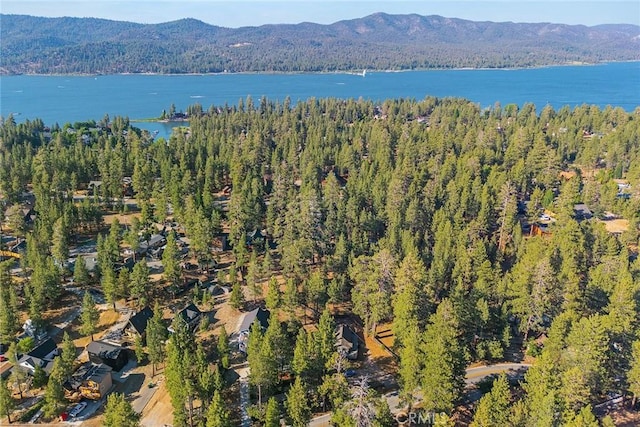425 Castella Ln, Big Bear Lake, CA 92315 - photo 6