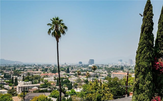 1224 Oberlin Dr, Glendale, CA 91205 - photo 22