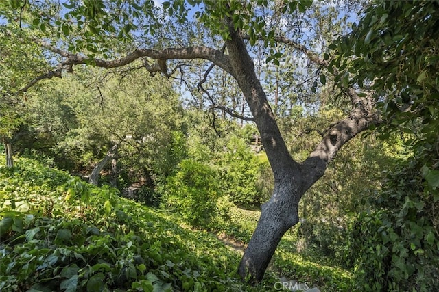 1530 Kenmore Rd, Pasadena, CA 91106 - photo 27