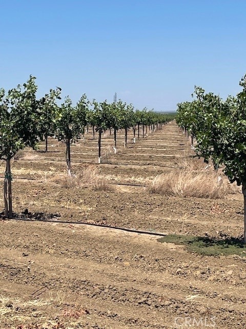 0 Russell, Firebaugh, CA 93622 - photo 6