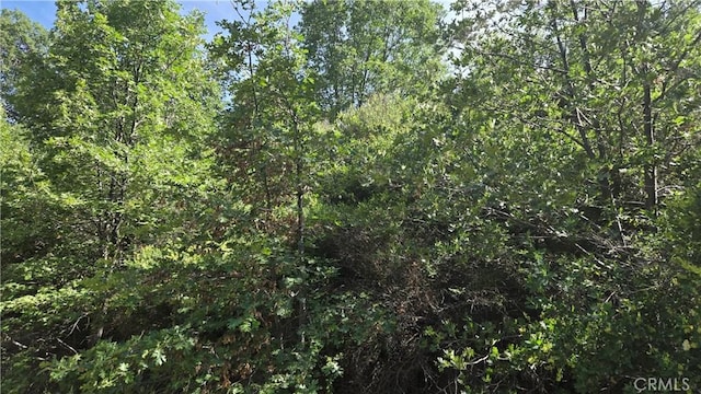 0 Elder Dr, Cedar Glen, CA 92321 - photo 3