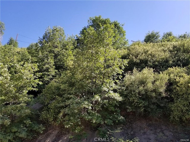 0 Elder Dr, Cedar Glen, CA 92321 - photo 2