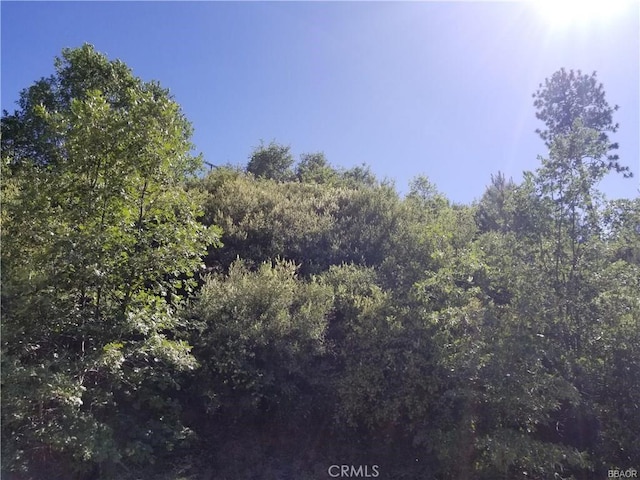 0 Elder Dr, Cedar Glen, CA 92321 - photo 4