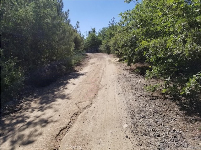 0 Elder Dr, Cedar Glen, CA 92321 - photo 5