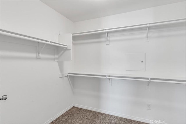 17561 Perilla Dr, San Bernardino, CA 92407 - photo 24