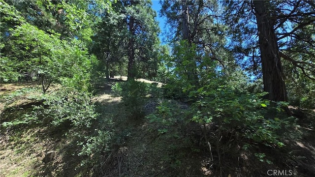 22494 Mojave River Rd, Cedarpines Park, CA 92322 - photo 1