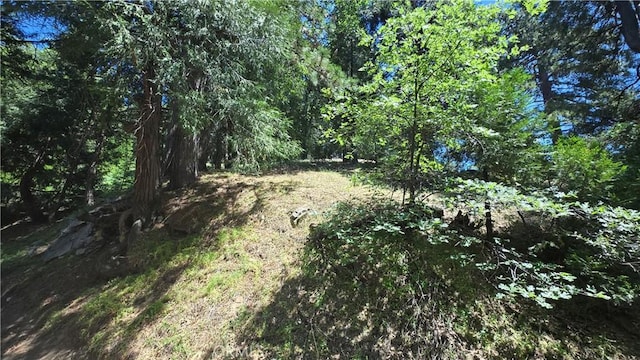 22494 Mojave River Rd, Cedarpines Park, CA 92322 - photo 3