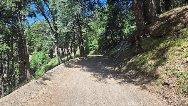 22494 Mojave River Rd, Cedarpines Park, CA 92322 - photo 8