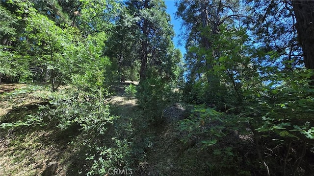 22494 Mojave River Rd, Cedarpines Park, CA 92322 - photo 7