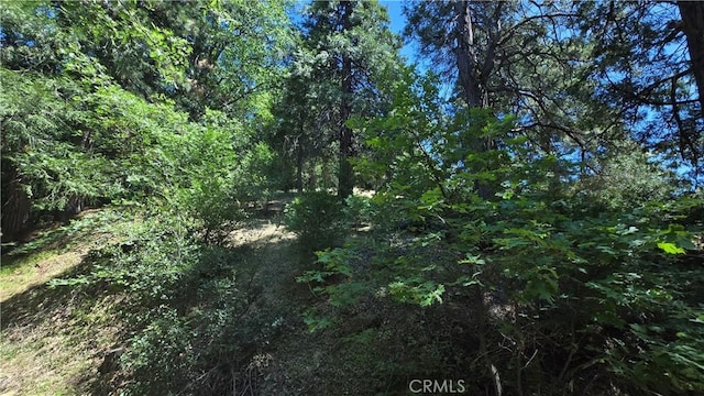 22494 Mojave River Rd, Cedarpines Park, CA 92322 - photo 2