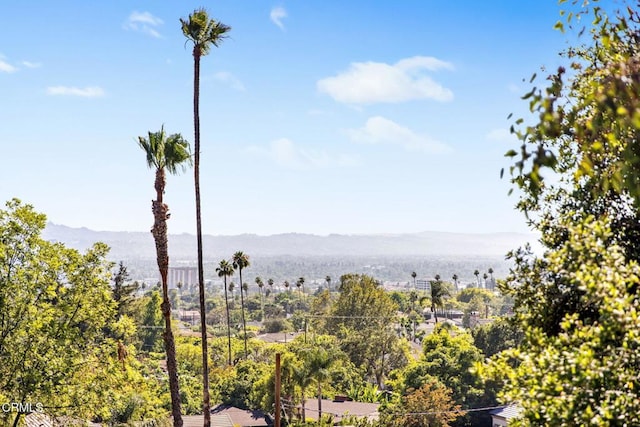 709 Wilson Ct, Burbank, CA 91505 - photo 67