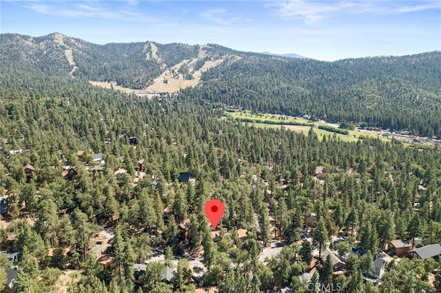 865 Villa Grove Ave, Big Bear Lake, CA 92315 - photo 3