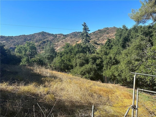 0 Paradise Ln, Topanga, CA 90290 - photo 4