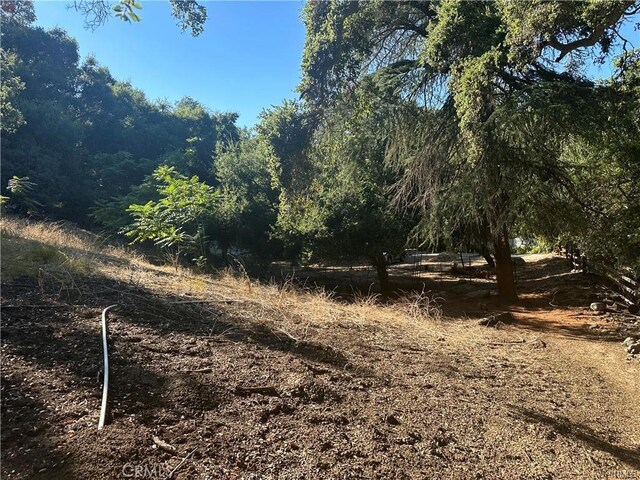 0 Paradise Ln, Topanga, CA 90290 - photo 6