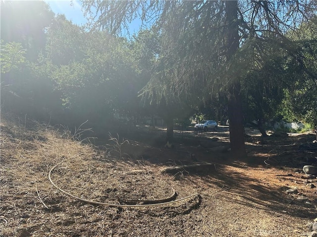 0 Paradise Ln, Topanga, CA 90290 - photo 7