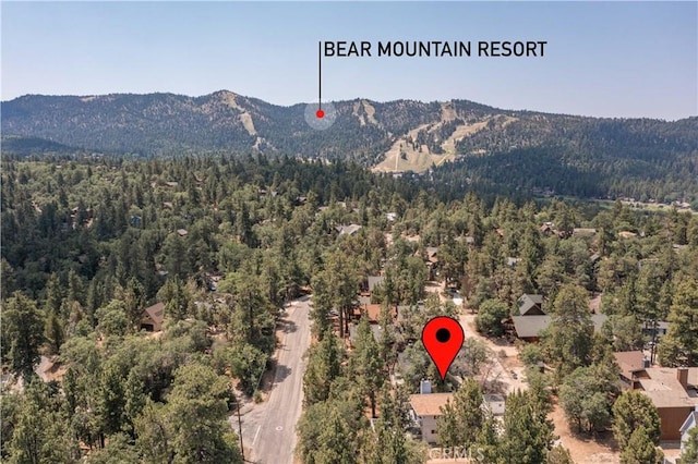 757 Villa Grove Ave, Big Bear, CA 92314 - photo 36