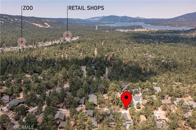 757 Villa Grove Ave, Big Bear, CA 92314 - photo 38