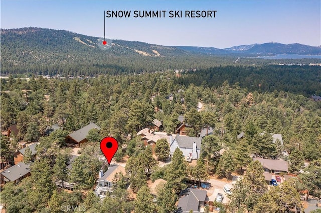 757 Villa Grove Ave, Big Bear, CA 92314 - photo 35