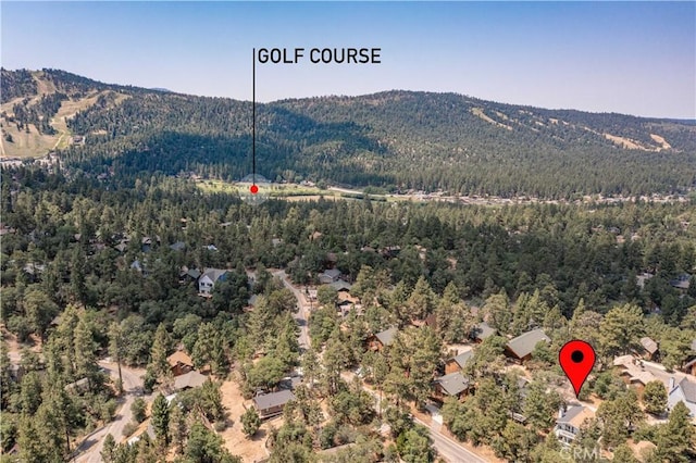 757 Villa Grove Ave, Big Bear, CA 92314 - photo 37