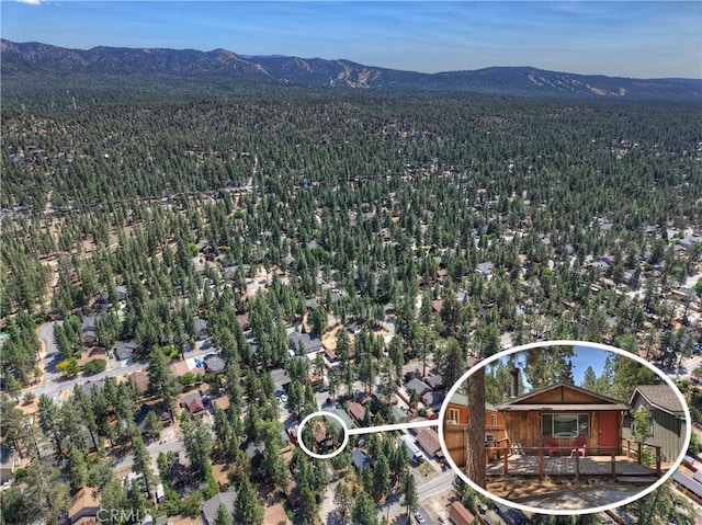 619 Elysian Blvd, Big Bear City, CA 92314 - photo 29
