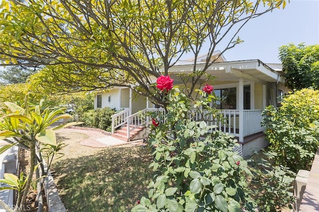 1205 Central Ave, Fullerton, CA 92831 - photo 4